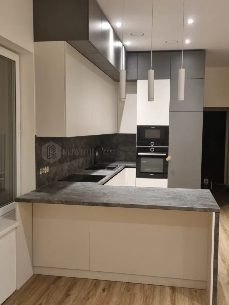 Baldologija-Atlikti-Darbai-Baldai (18)