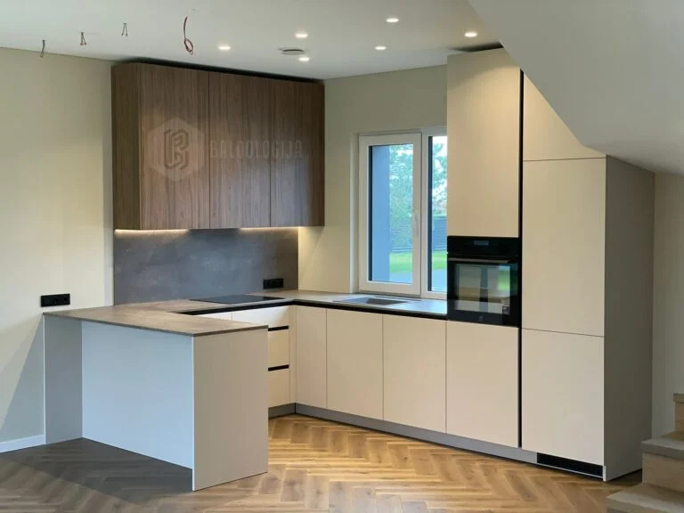 Baldologija-Atlikti-Darbai-Baldai (48)