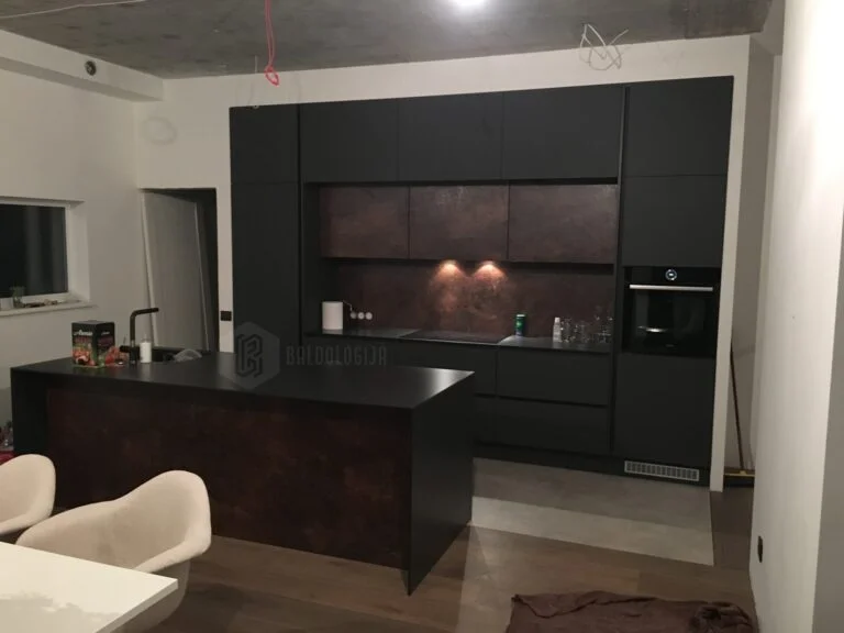 Baldologija-Atlikti-Darbai-Baldai (62)